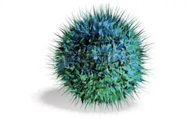 Targeting Cancer Stem Cells with NonToxic Therapies