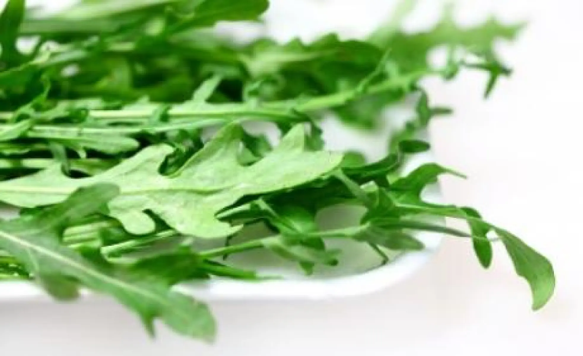 Arugula Rocks Your Nutrition World
