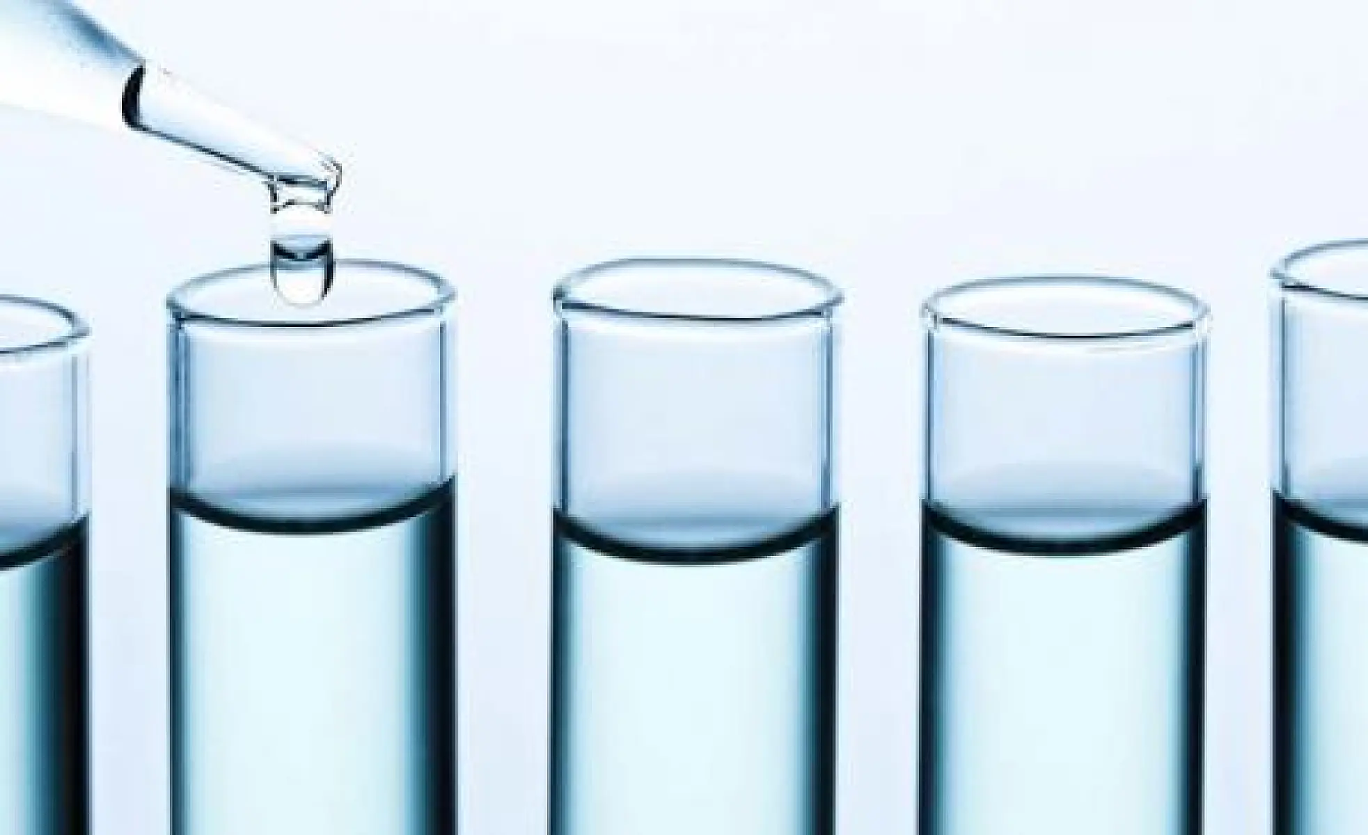 "The Dose Makes the Poison": Rethinking Traditional Toxicity Testing