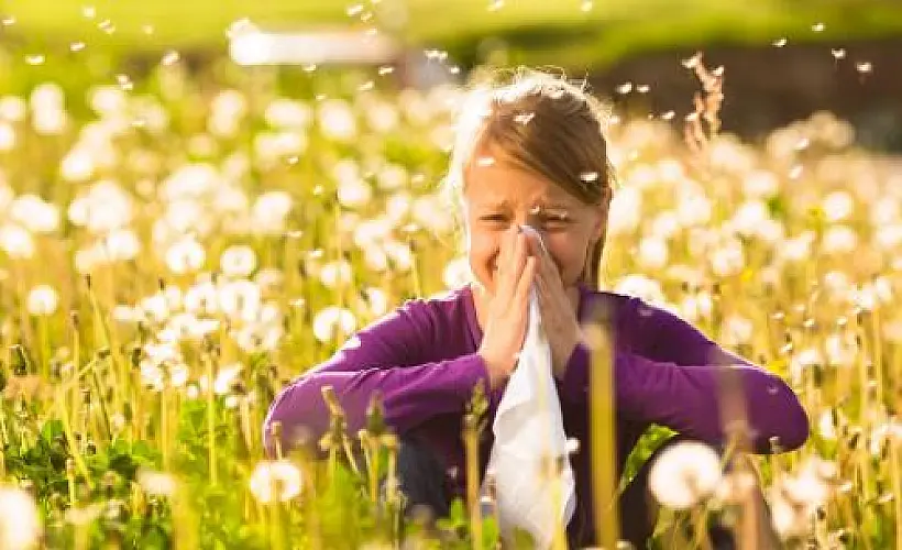 3 Evidence-Based Natural Allergy Remedies
