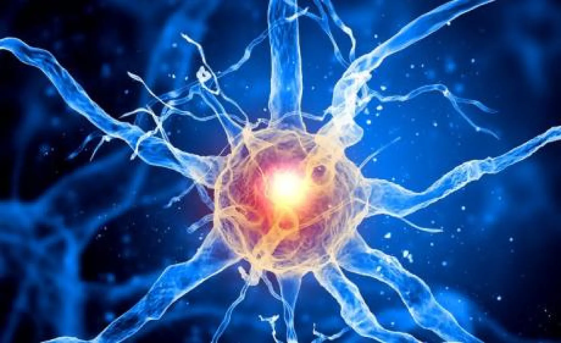 Lion’s Mane Mushroom – Unparalleled Benefits for Your Brain and Nervous System