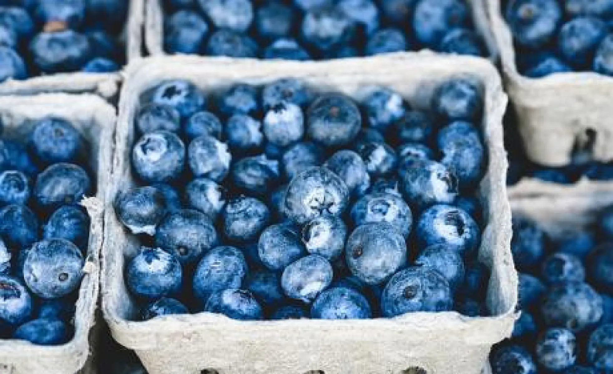 7 Proven Reasons to Eat More Blueberries