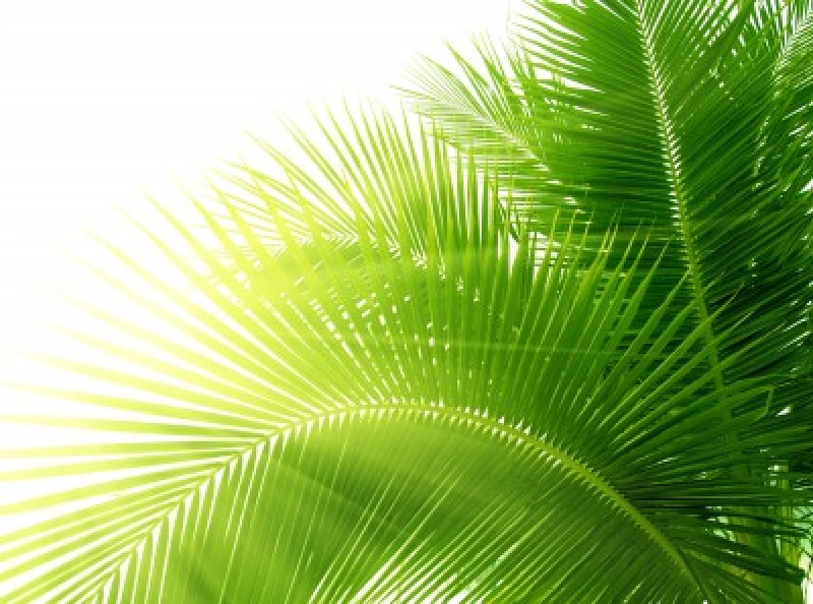 Vitamin D: How Much, And What Are Its Benefits?