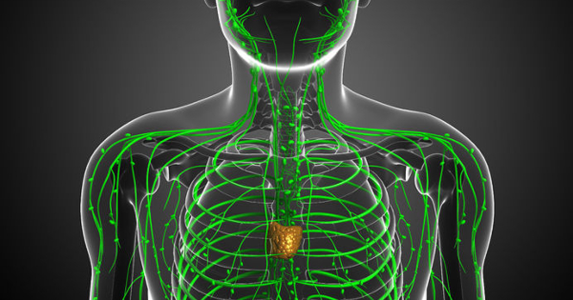Is Lymph Node Removal with Cancer Surgery Really Necessary?