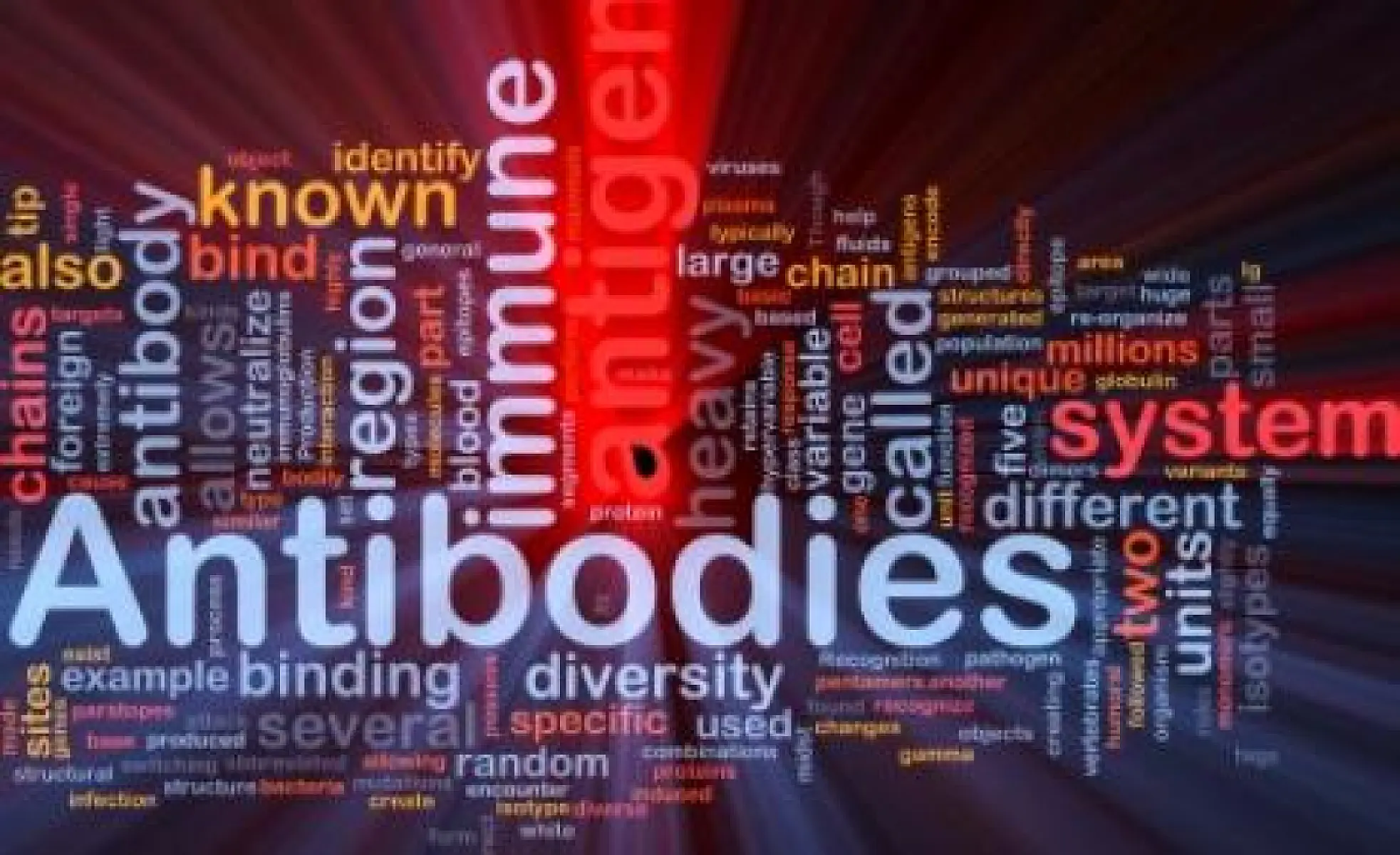 36 Immune Benefits of Probiotics