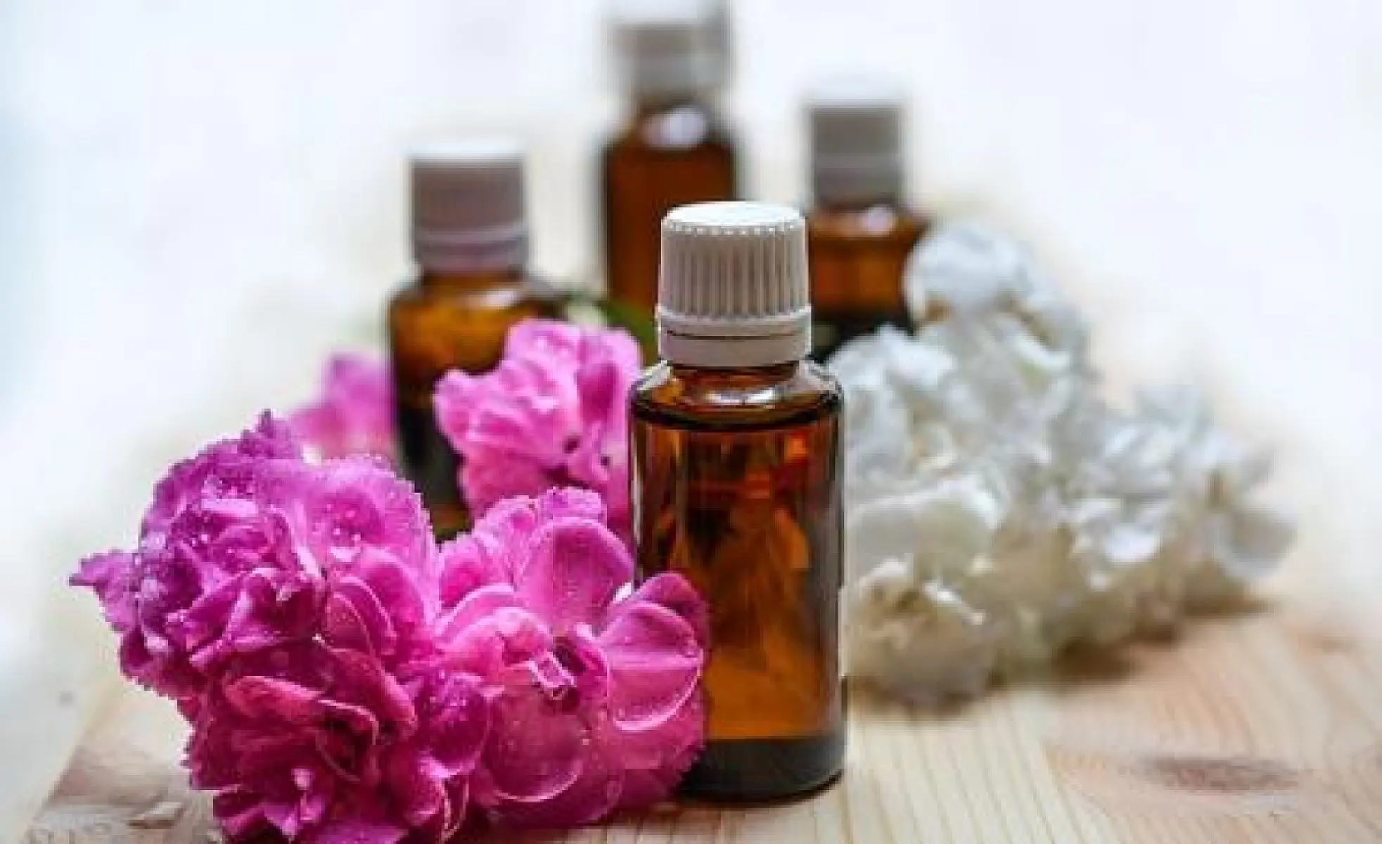 Essential Oils Proven to Send Mosquitoes Packing