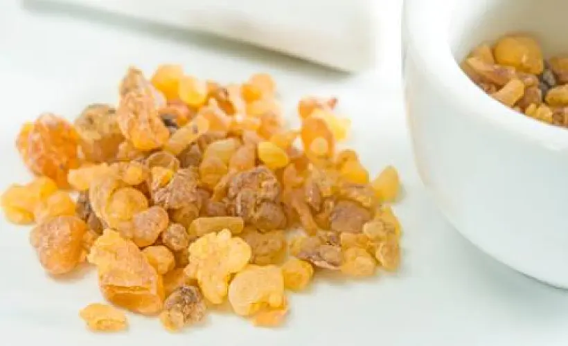 Reviving the Ancient Healing Wisdom of Frankincense (Boswellia) 