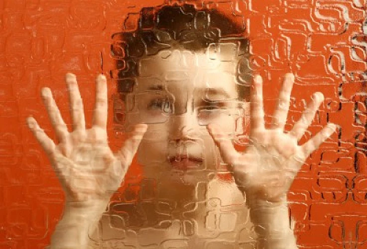 Wheat: A Missing Piece In the Autism Puzzle