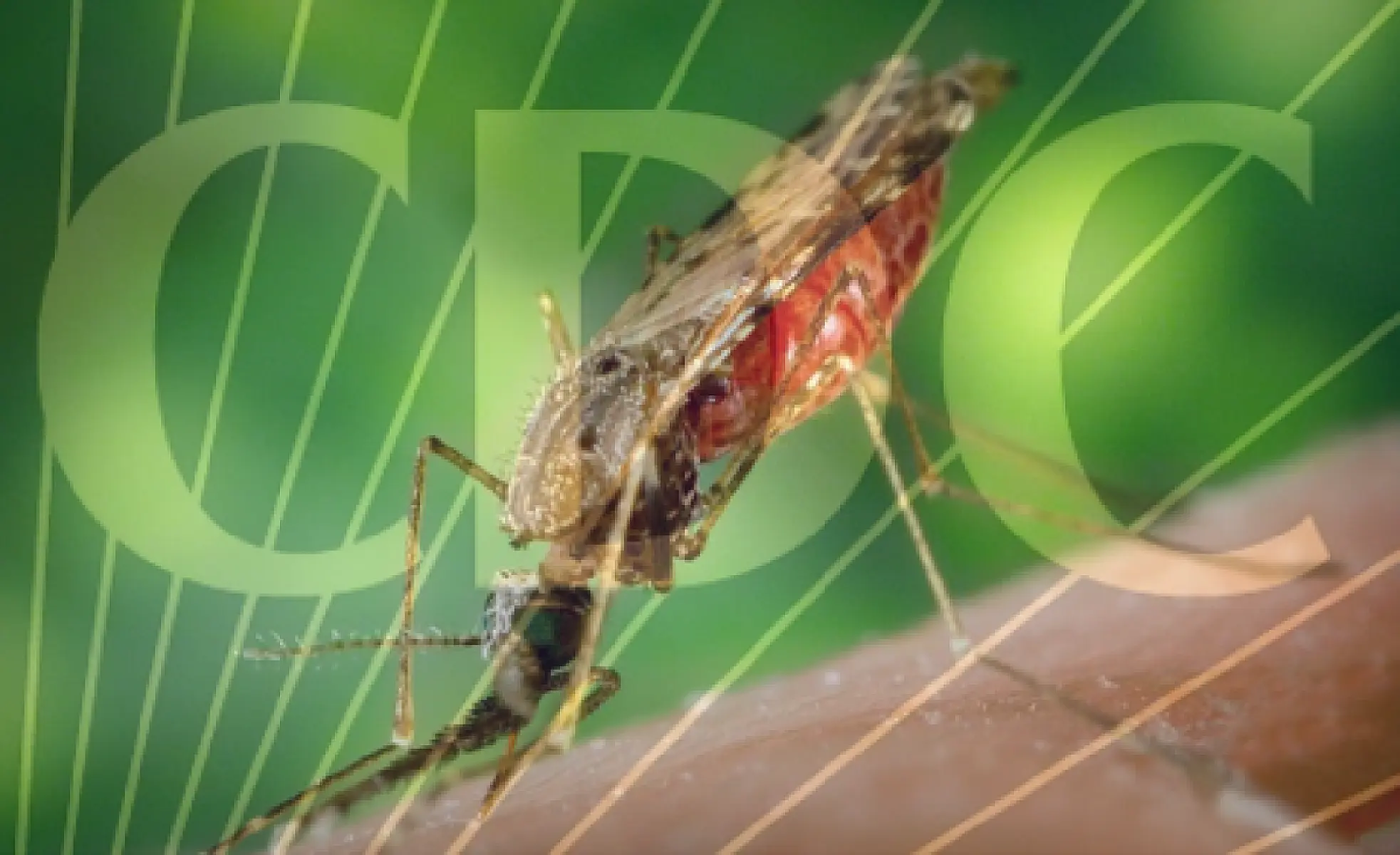 CDC’s Zika Game Plan Disrobed