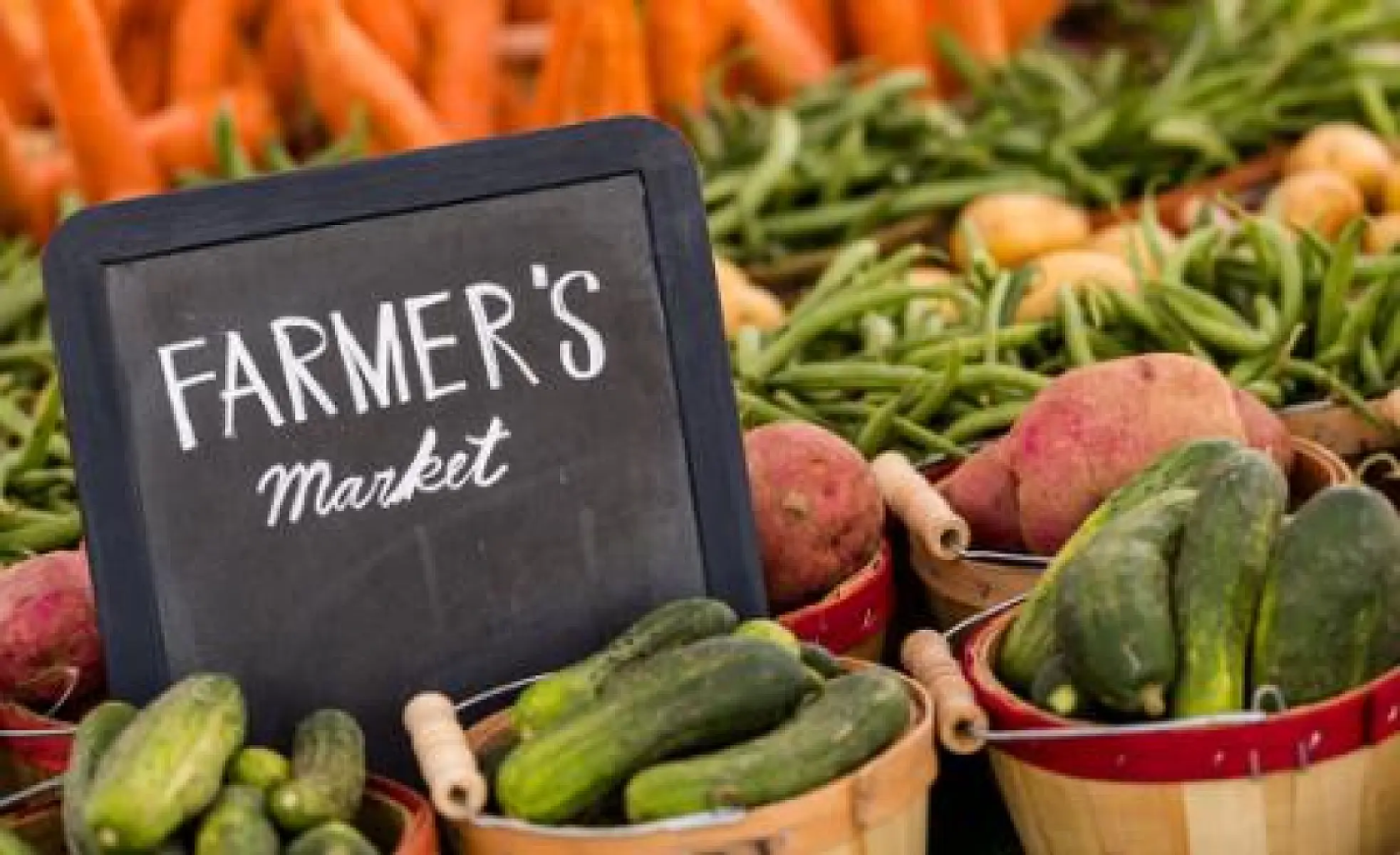 Why the Food Movement is Unstoppable