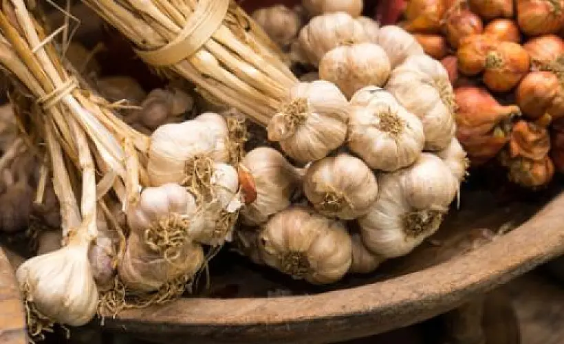 Coronary Calcium Score Benefits of Aged Garlic