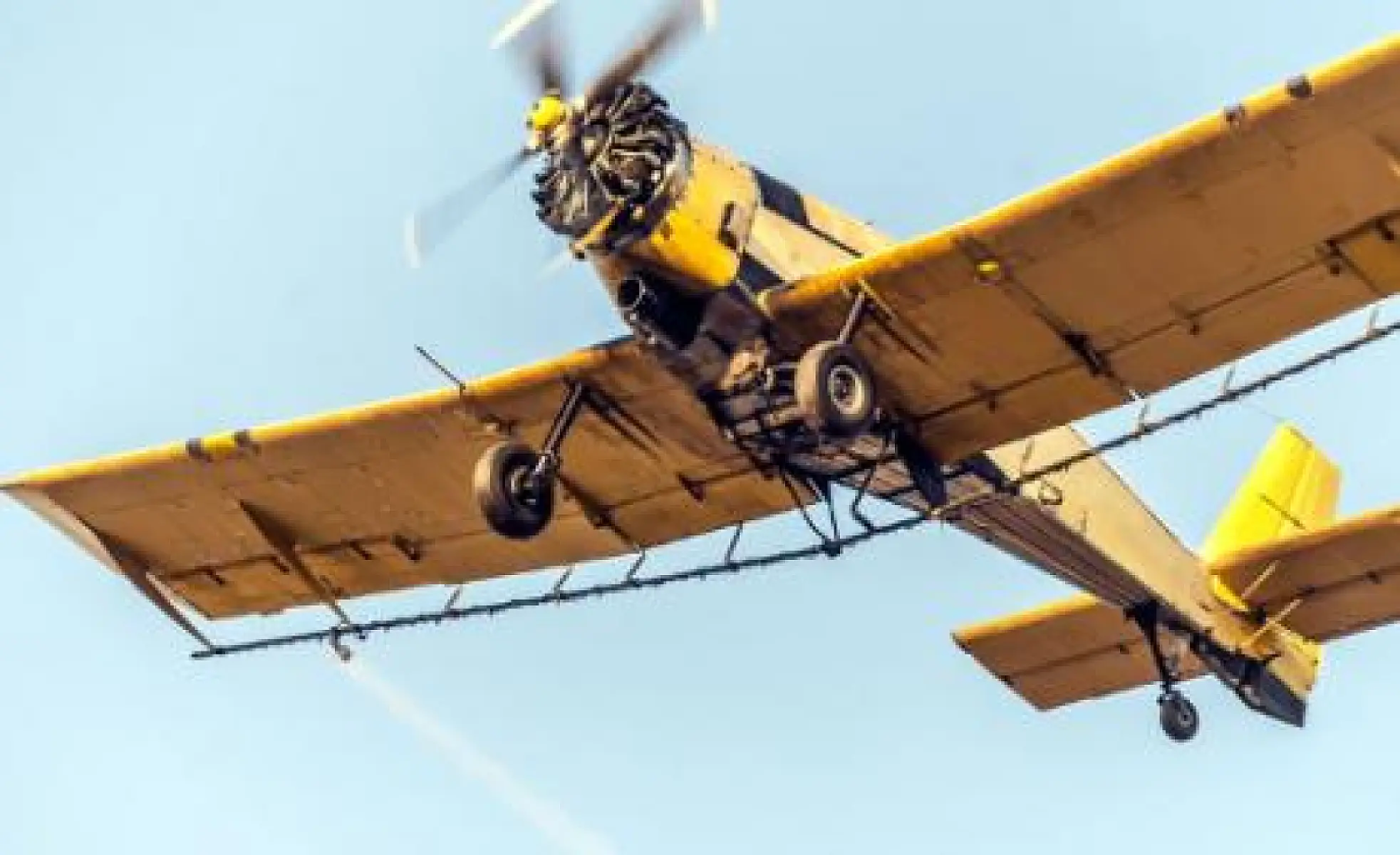 Is Naled, the primary pesticide the Collier Mosquito Control District sprays, safe for our children?