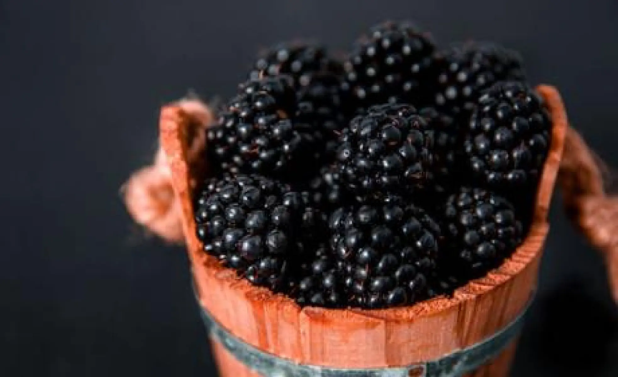 6 Proven Reasons to Eat the OTHER Black Berry