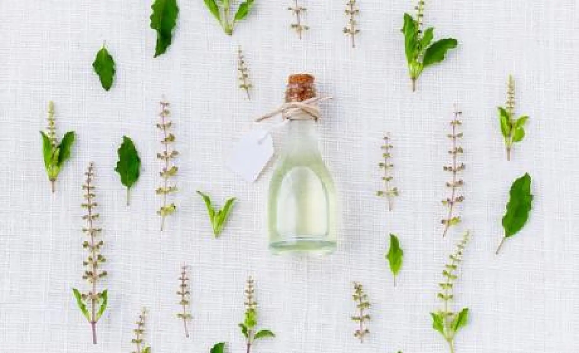 Why Natural Medicine is NOT "Alternative"