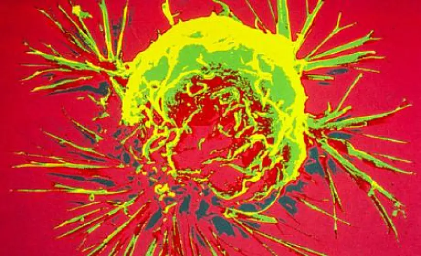 Preventing Cancer at the Molecular Level