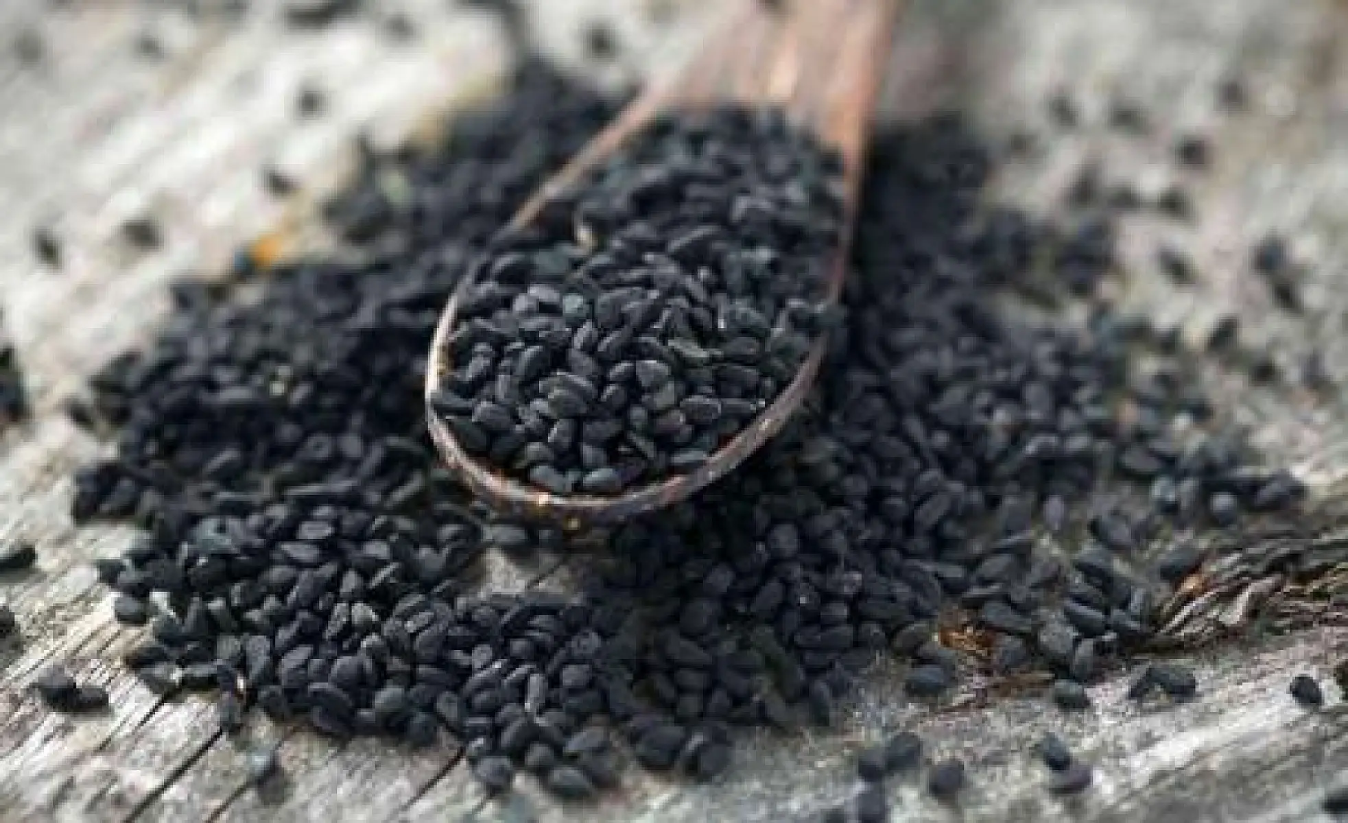 Little Black Seed Decreases Viral Load in Hepatitis C Patients