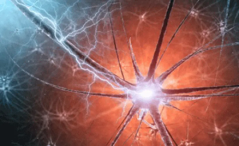 Research: Foods/Spices Slow, Perhaps Reverse Alzheimer's