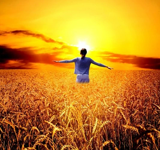 Helpful Tips For Healing A Gluten-Ravaged Body