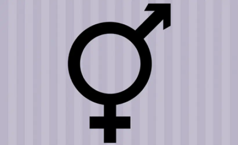 Weapons Of Mass Feminization