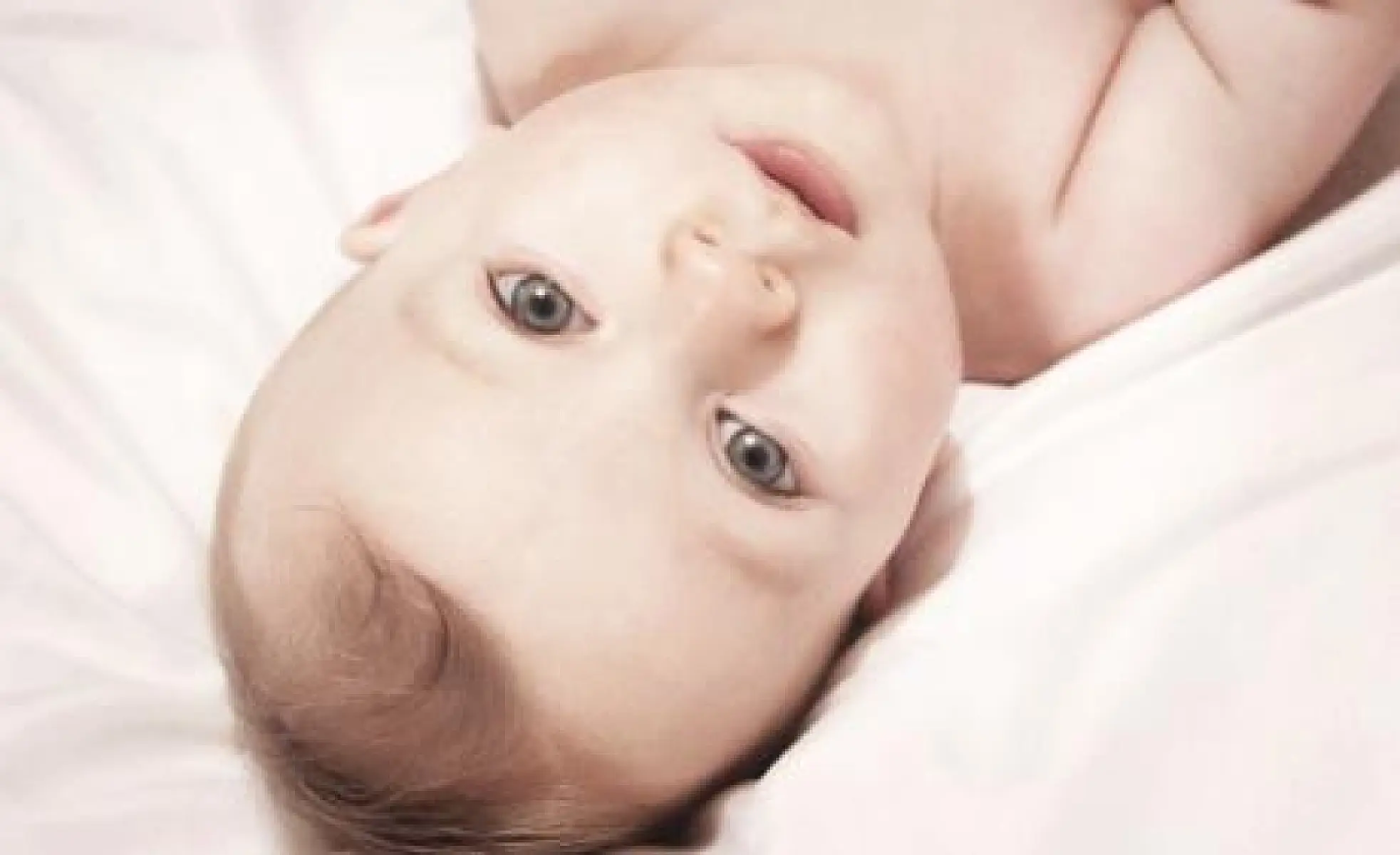Are Toxic Chemicals Turning Boys Into Girls?