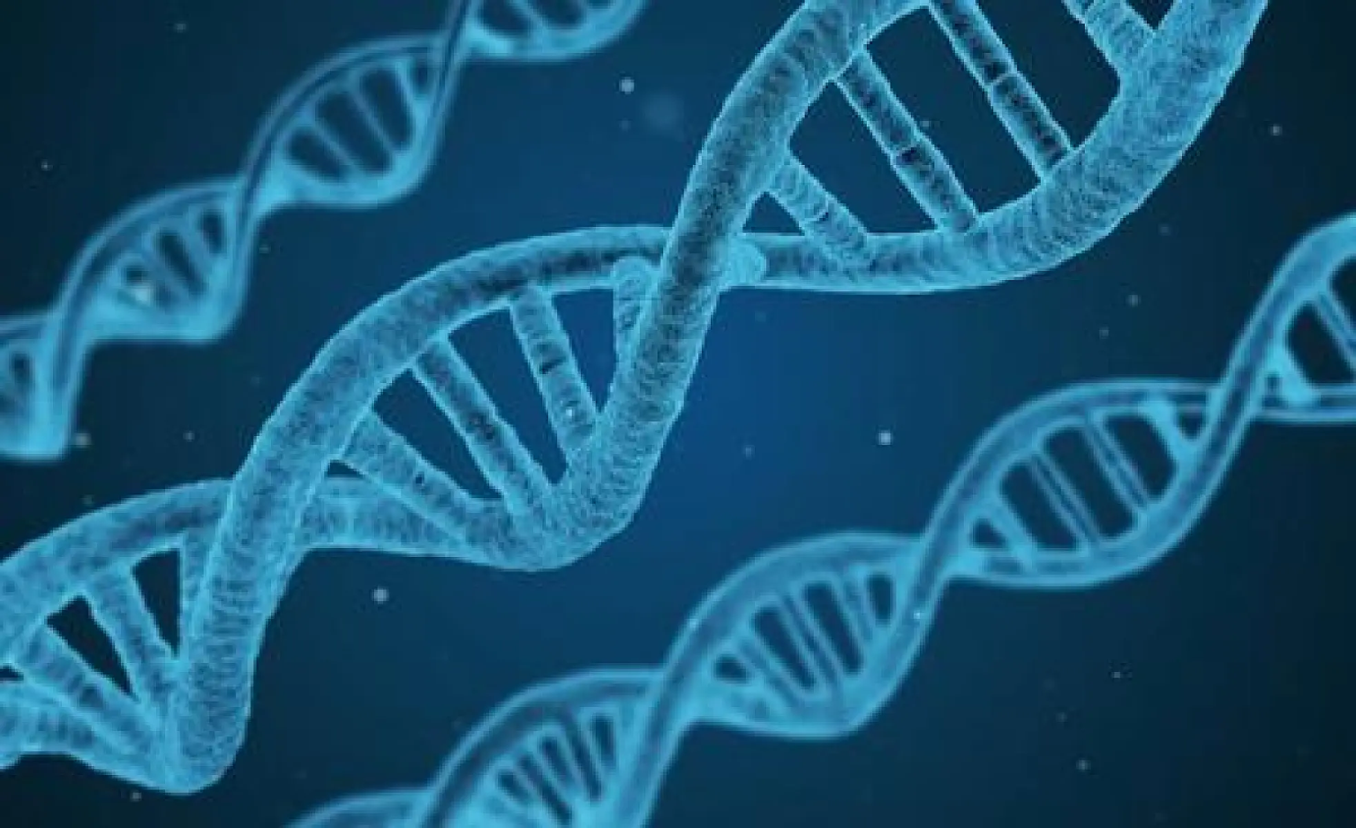 Genetics Is Giving Way to a New Science of Life