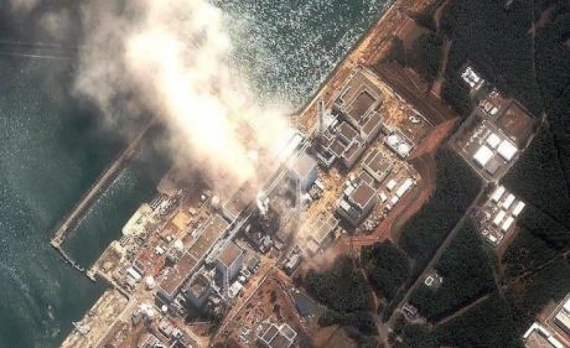 HELEN CALDICOTT: The Fukushima nuclear meltdown continues unabated