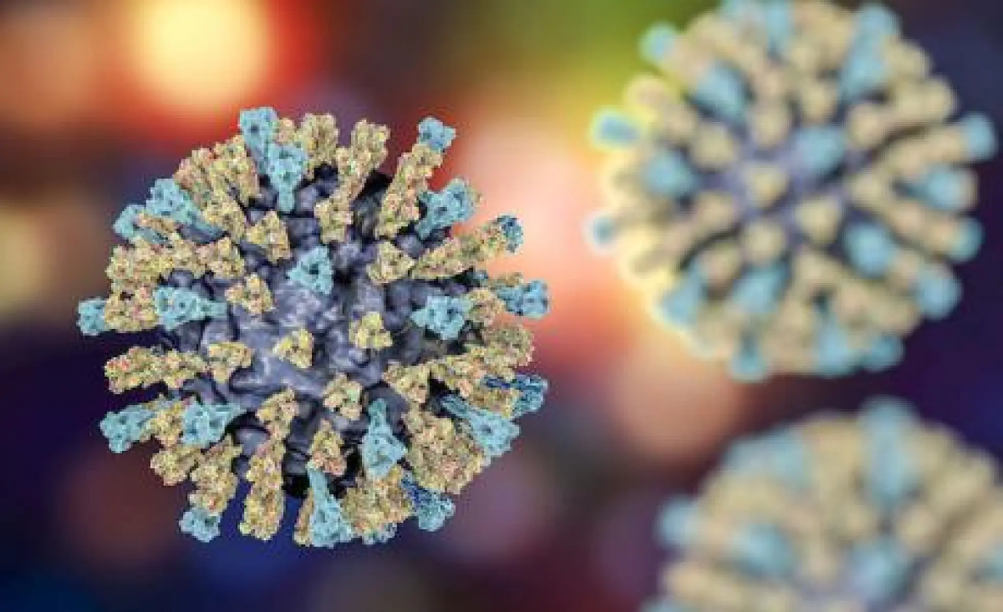 The Truth About the Germ Theory