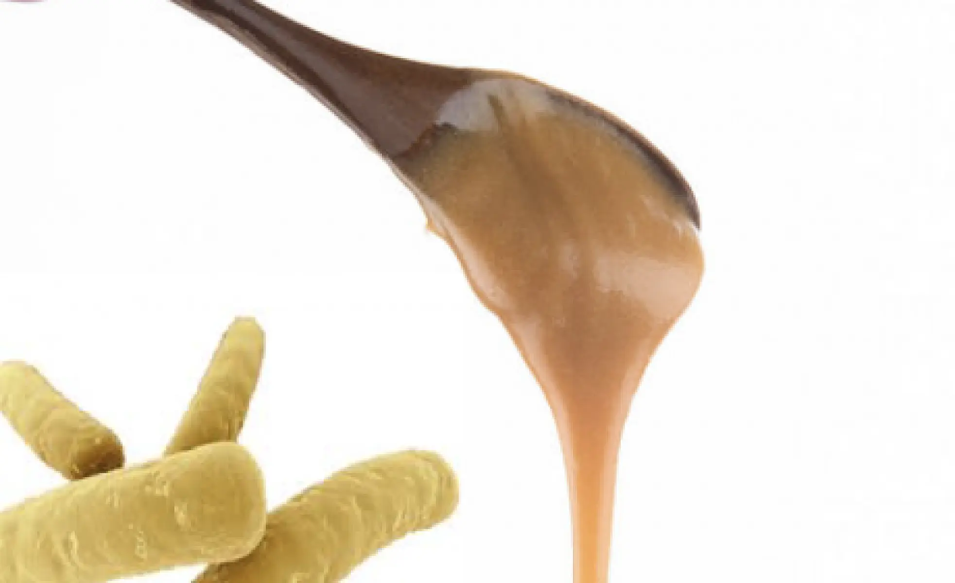 Exotic Honey Comes to the Rescue in Fighting Deadly C. Difficile Infections