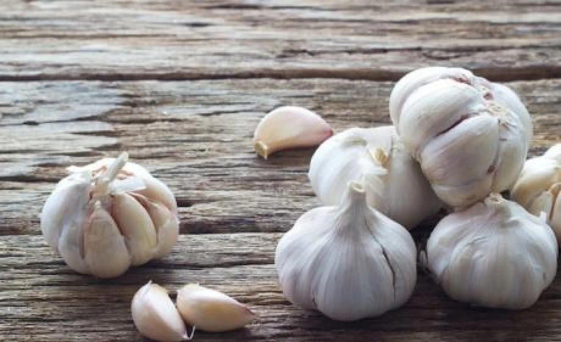 Garlic: Roto-Rooter for the Arteries?
