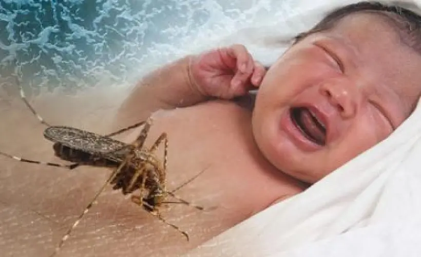 Zika vaccine: watch out—it will alter your DNA