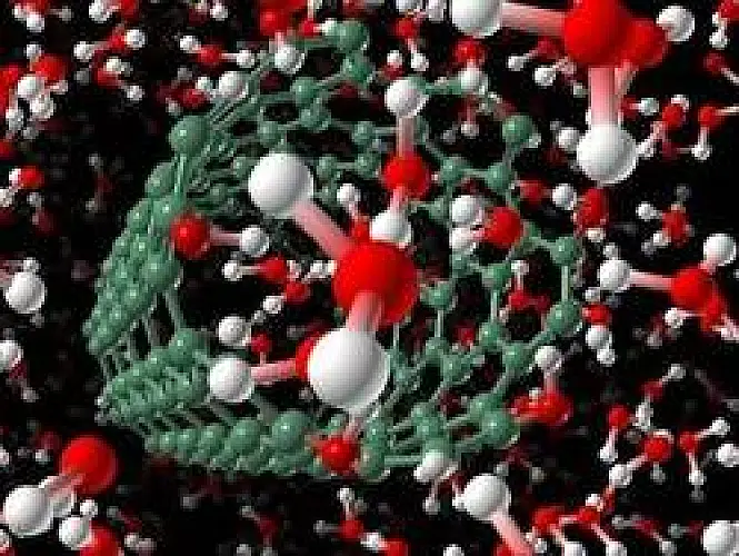 Big Pharma wants nano-scavengers in its drugs
