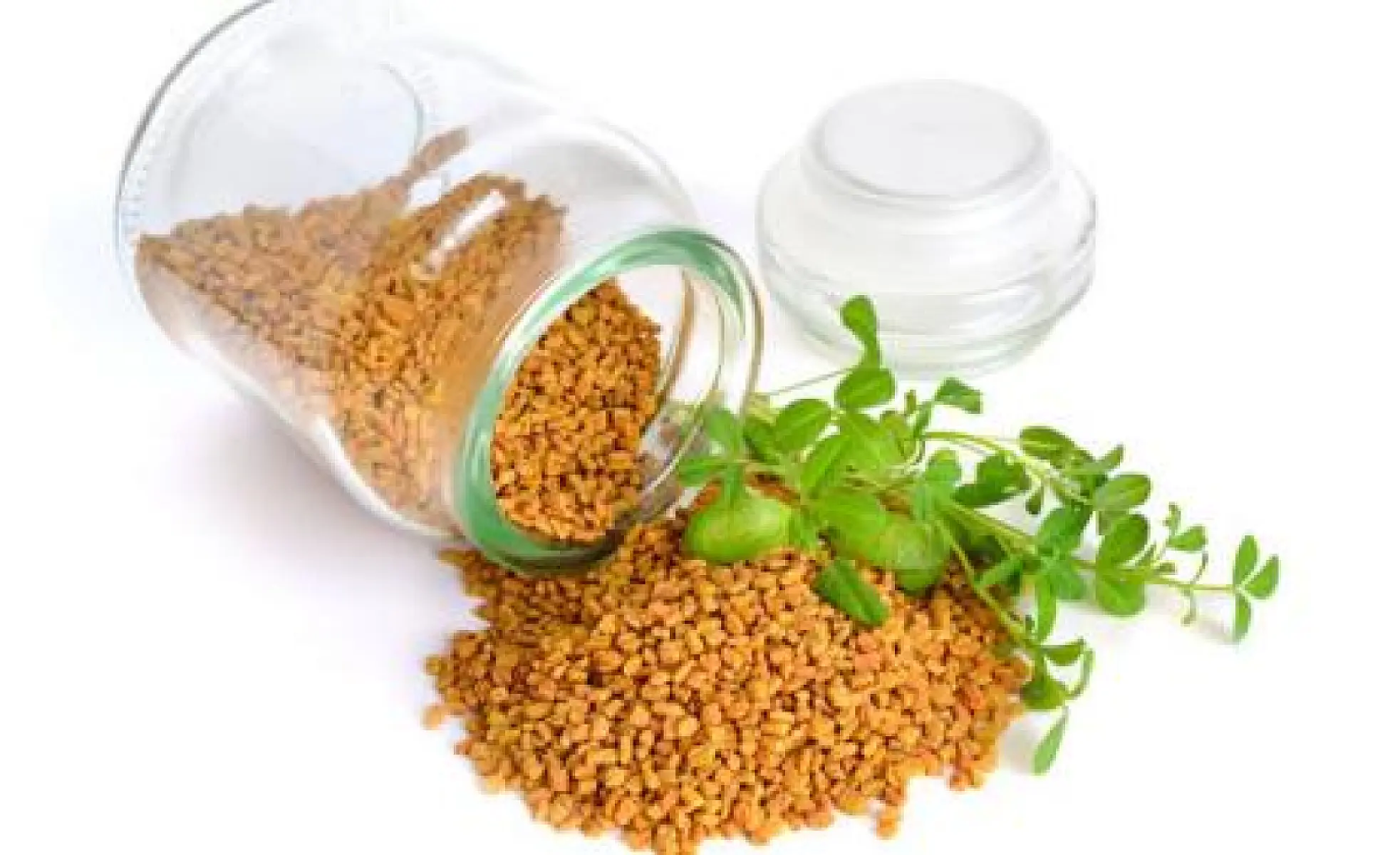 Why You Should Incorporate Fenugreek in Your Diet