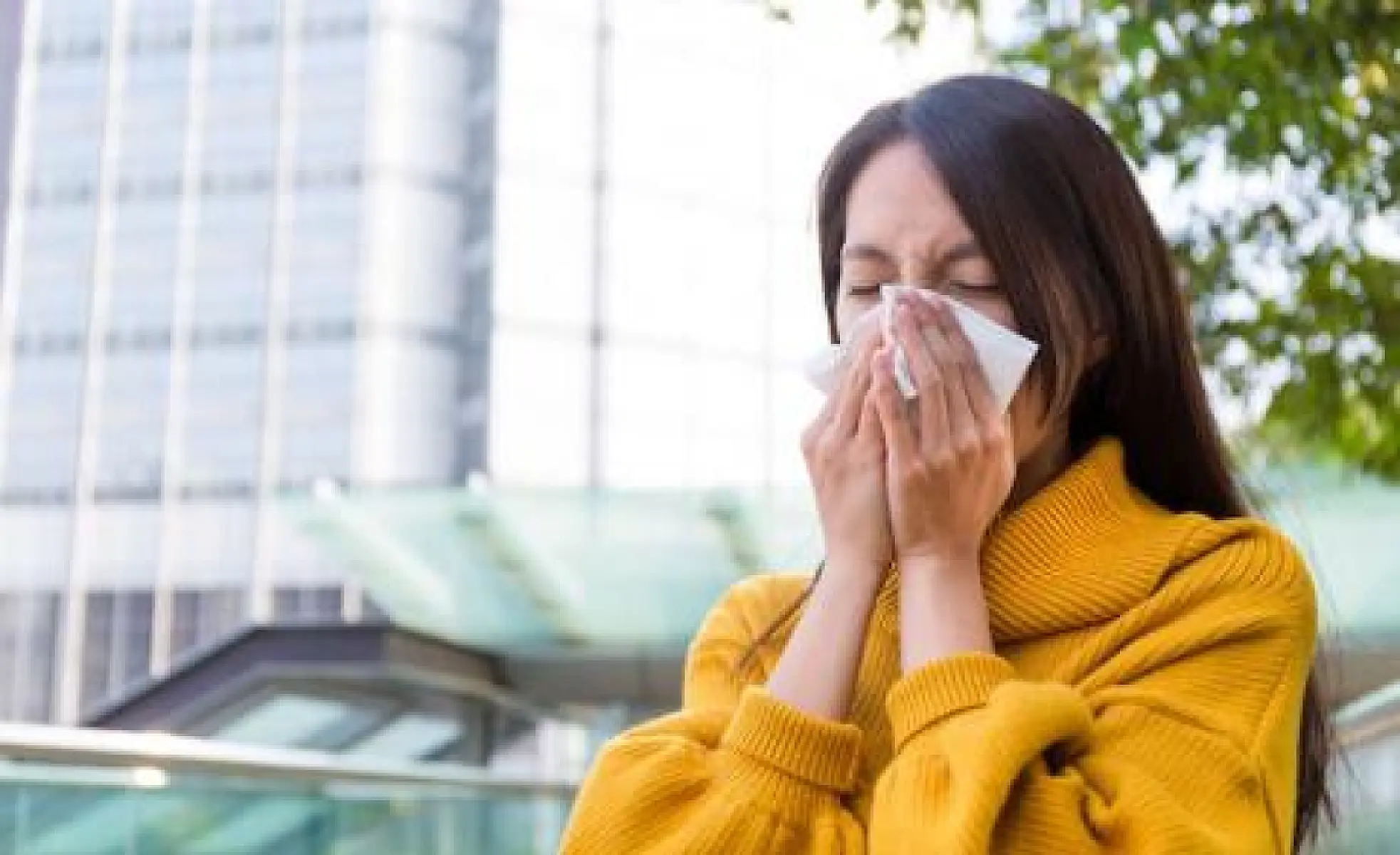 5 Natural Remedies for Seasonal Allergy Relief 