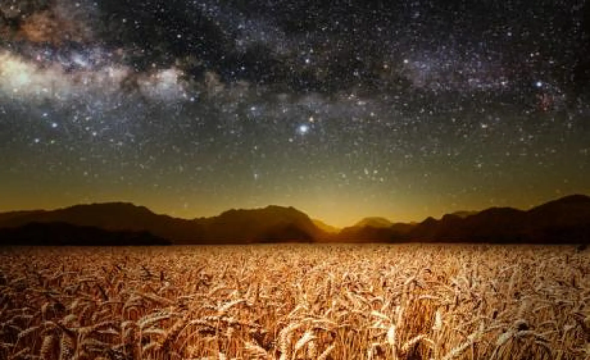 Opening Pandora's Bread Box: The Critical Role of Wheat Lectin in Human Disease