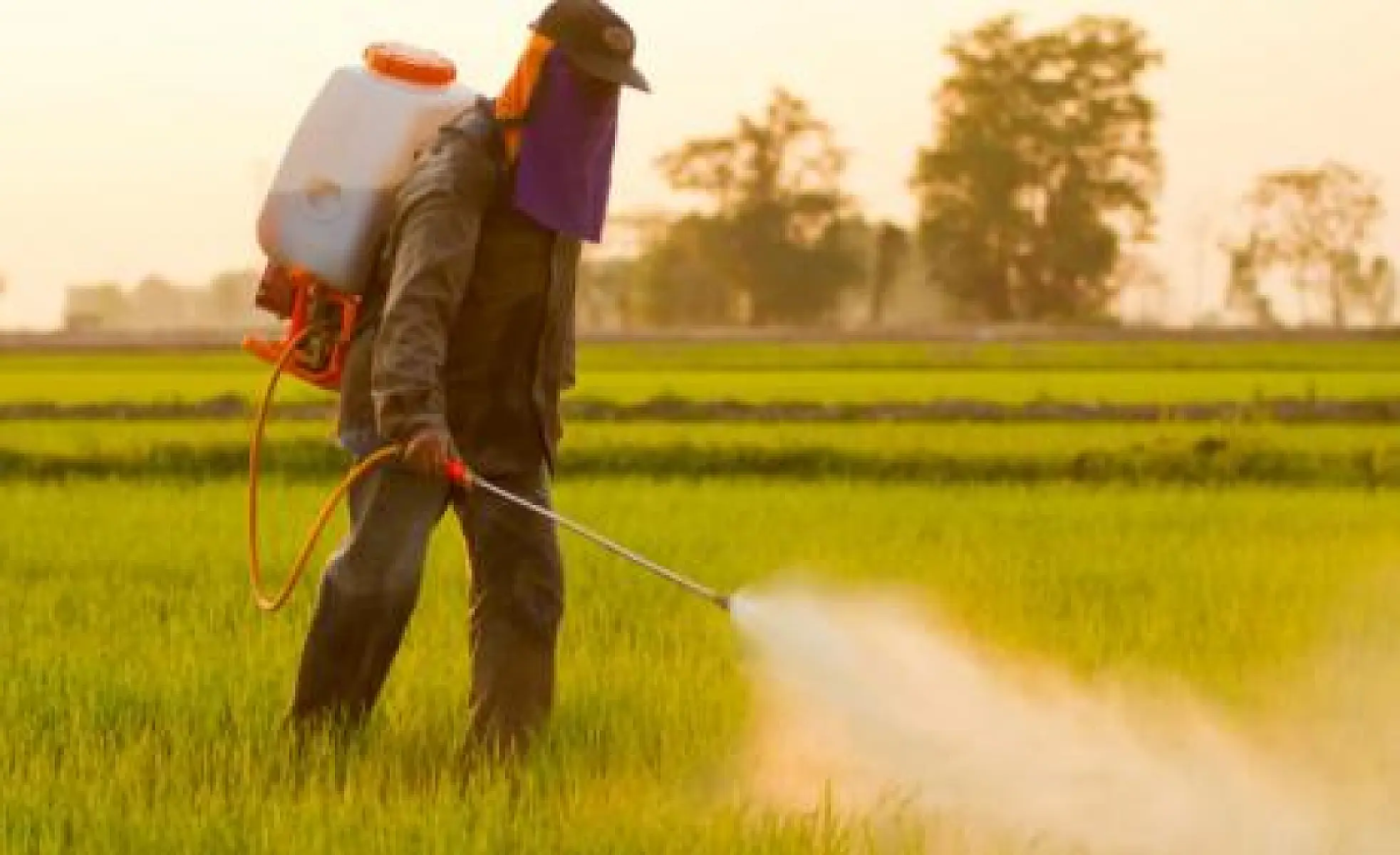 Crashing Monsanto’s Pesticide Party In Beijing