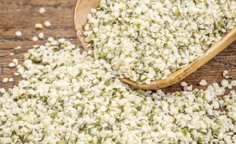 12 Amazing Health Benefits of Hemp Seeds & 6 Recipes