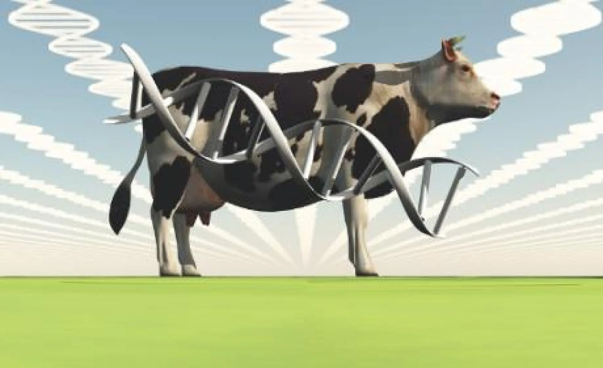 Illegal GE Bacteria Detected in An Animal Feed Supplement