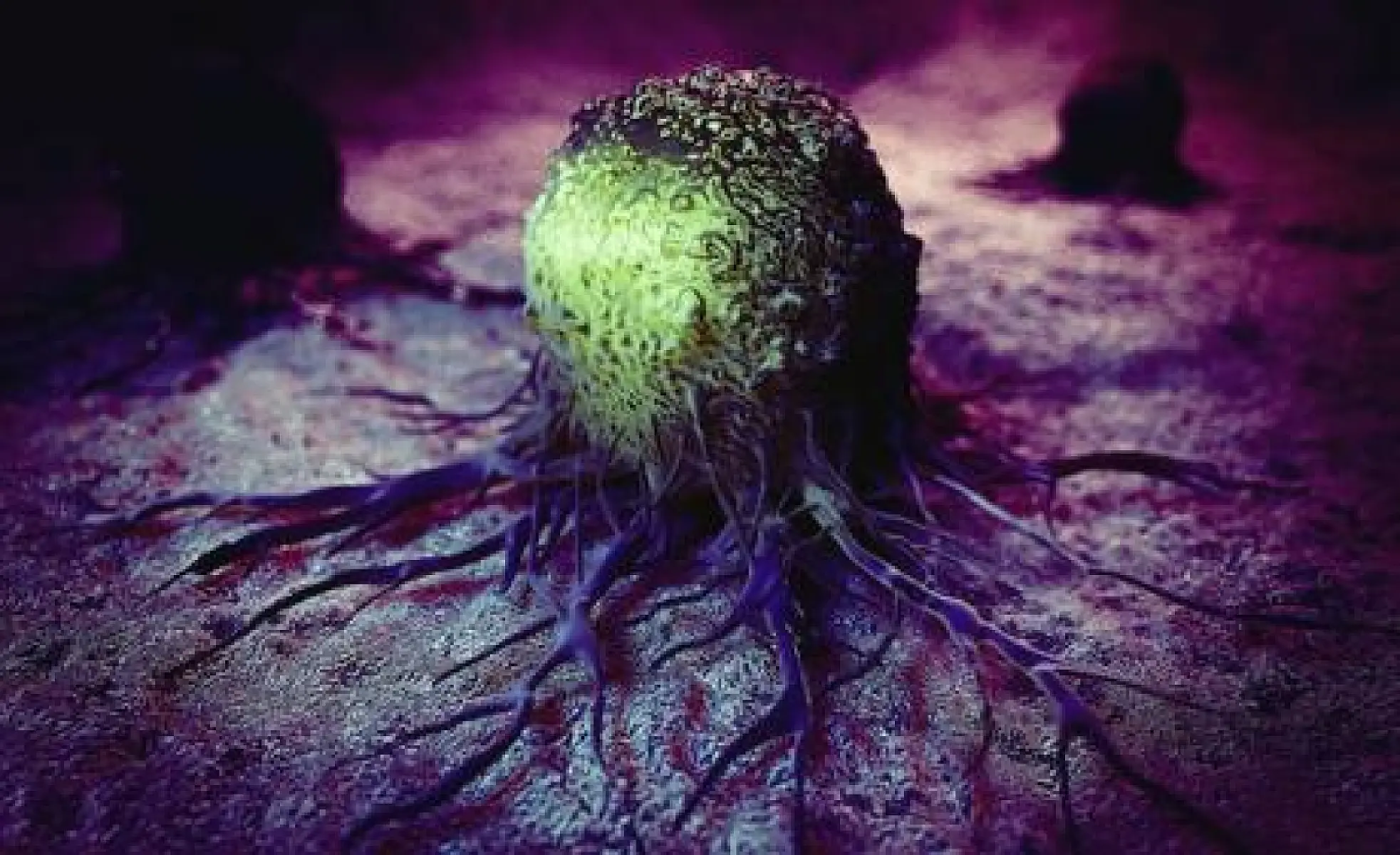 Reverse Cancer with Targeted Mitochondrial Restoration