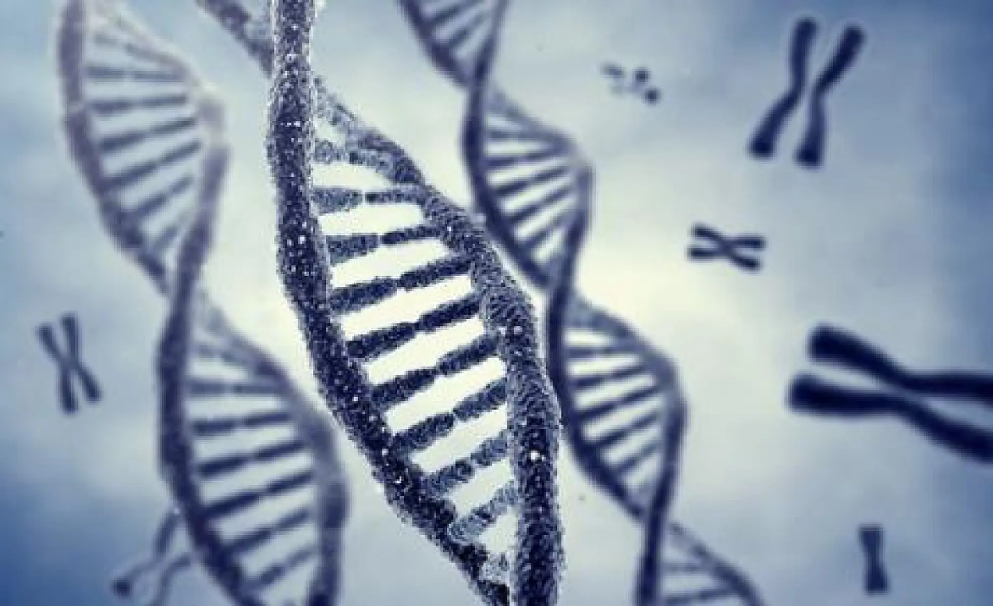 Telomeres: The Tape Measure for Aging