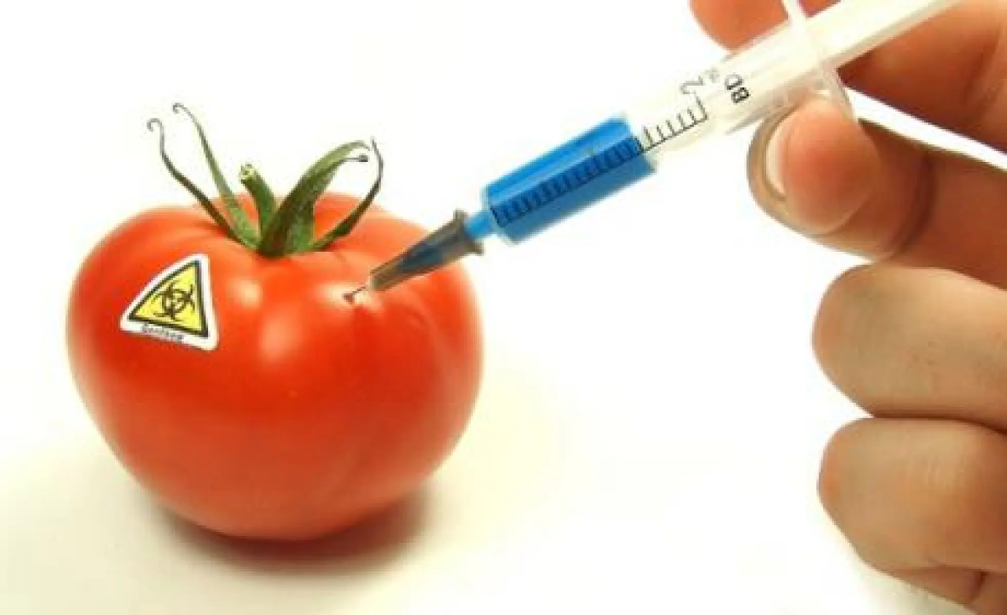 The Biotech Industry Is Taking Over the Regulation of GMOs from the Inside