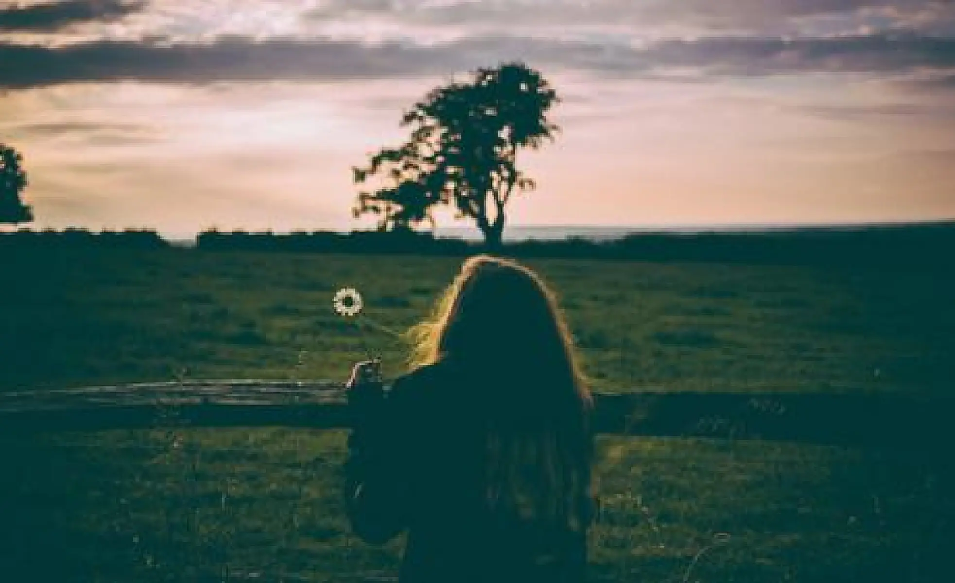 Holistic Medicine: A Life Without Fear