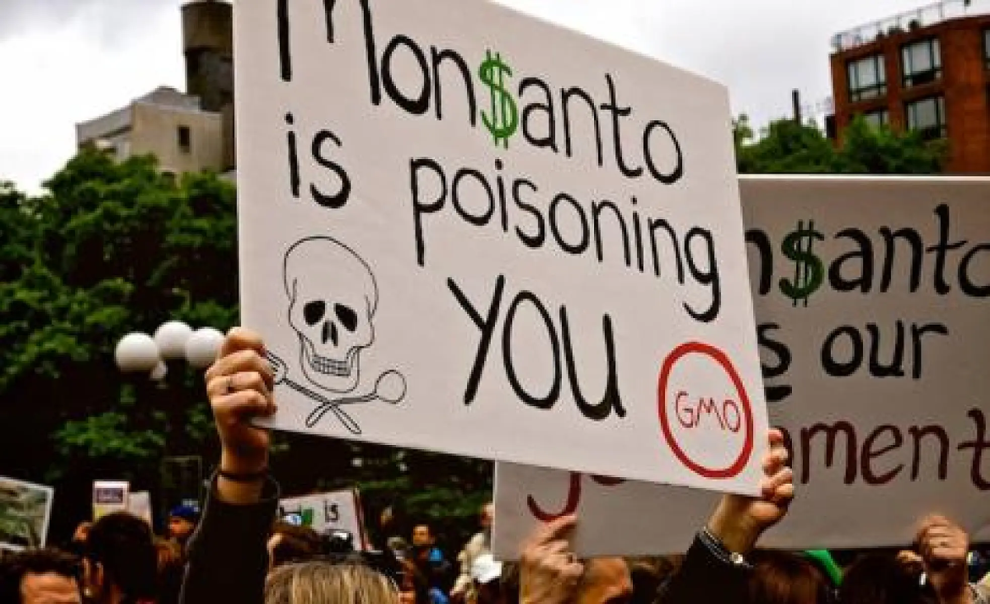 The Poison Business: The Monsanto Papers Reveal Media, Science, and Regulatory Collusion
