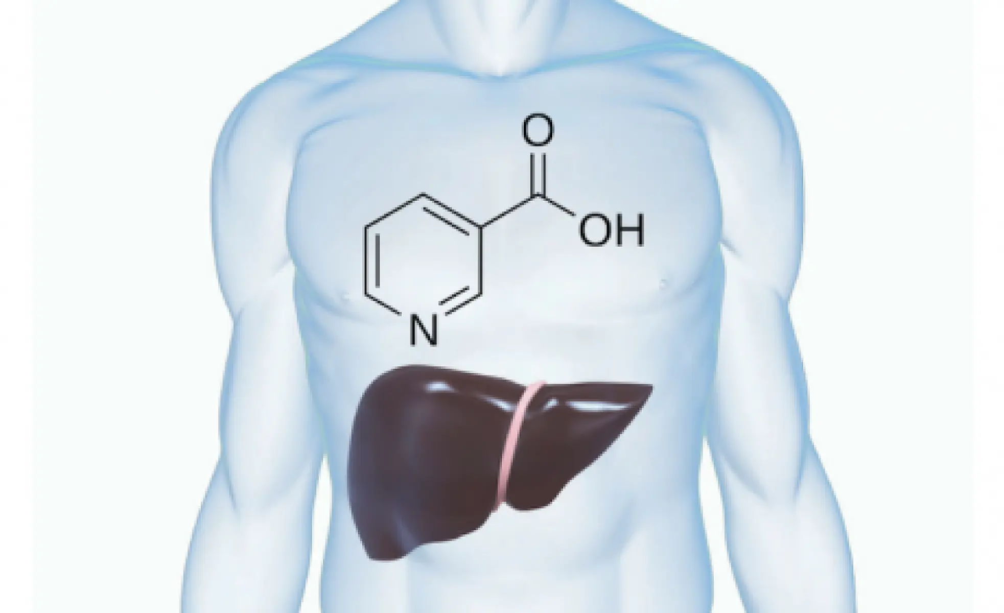 Niacin for Detoxification: A Little-known Therapeutic Use