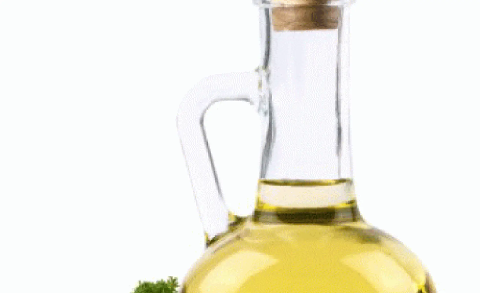 High Fat Healing