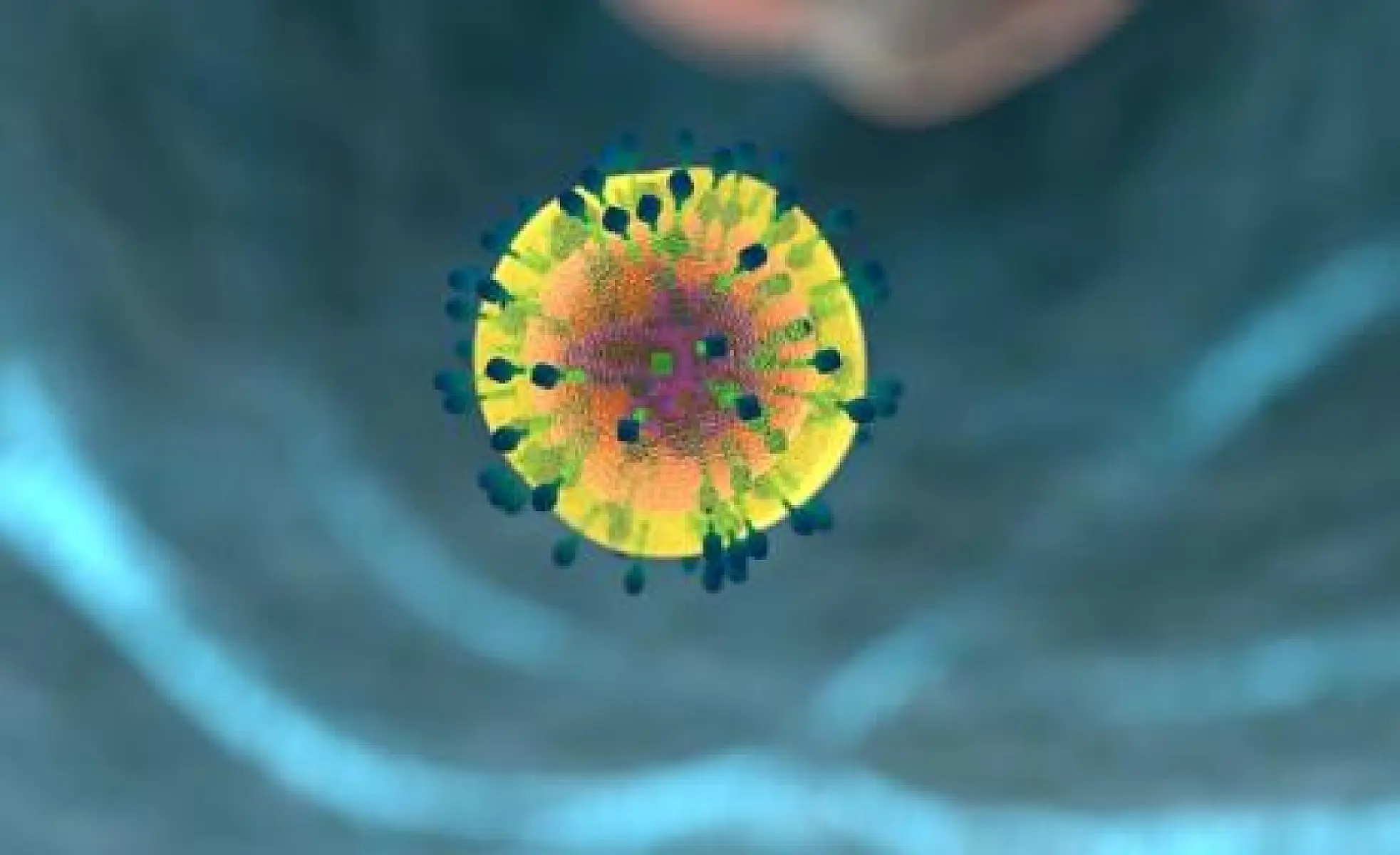 Natural Autoimmunity: Friend or Foe?