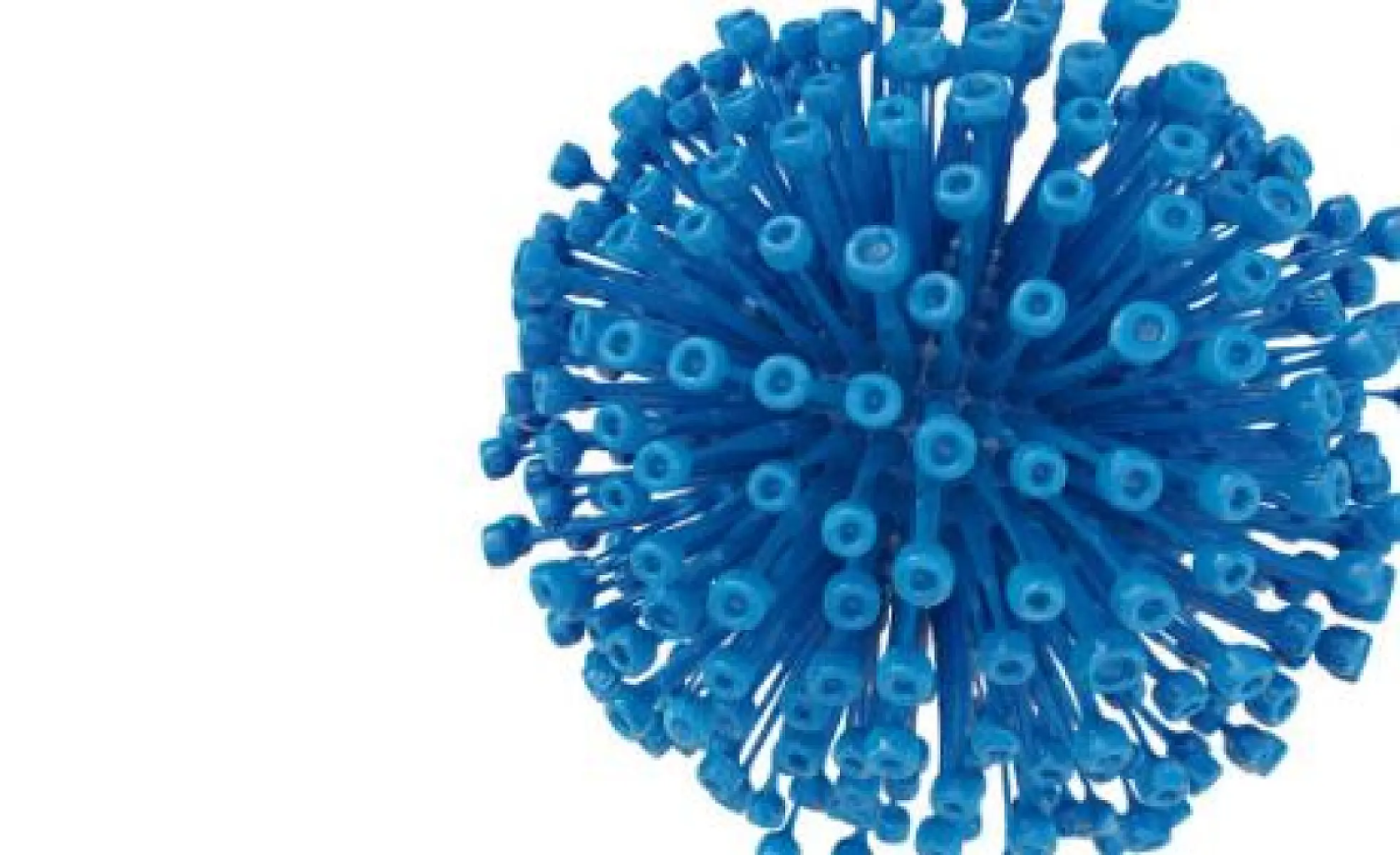 Retroviruses: Poorly Understood Agents of Change