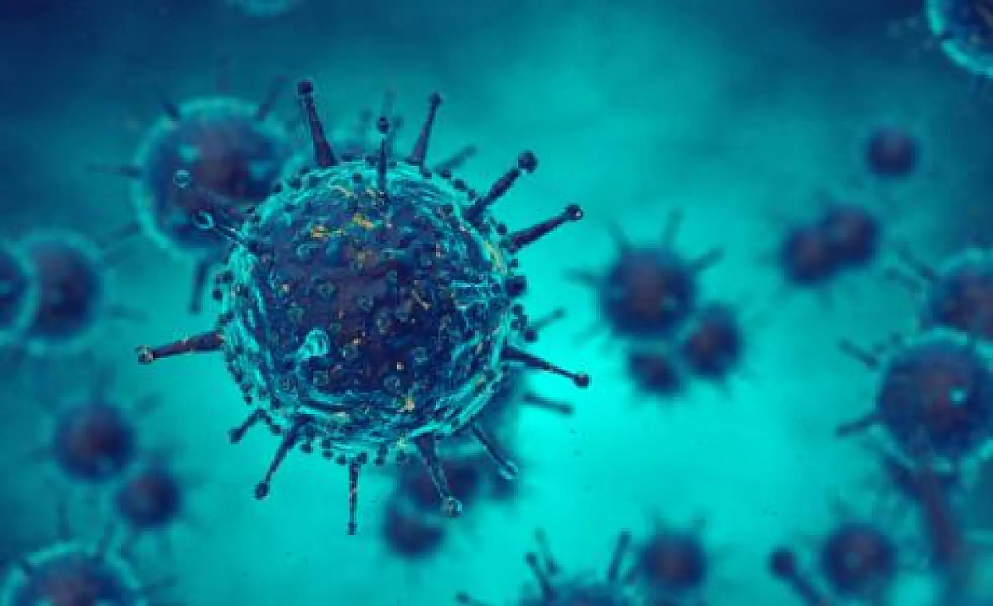 Profound Implications of the Virome for Human Health and Autoimmunity