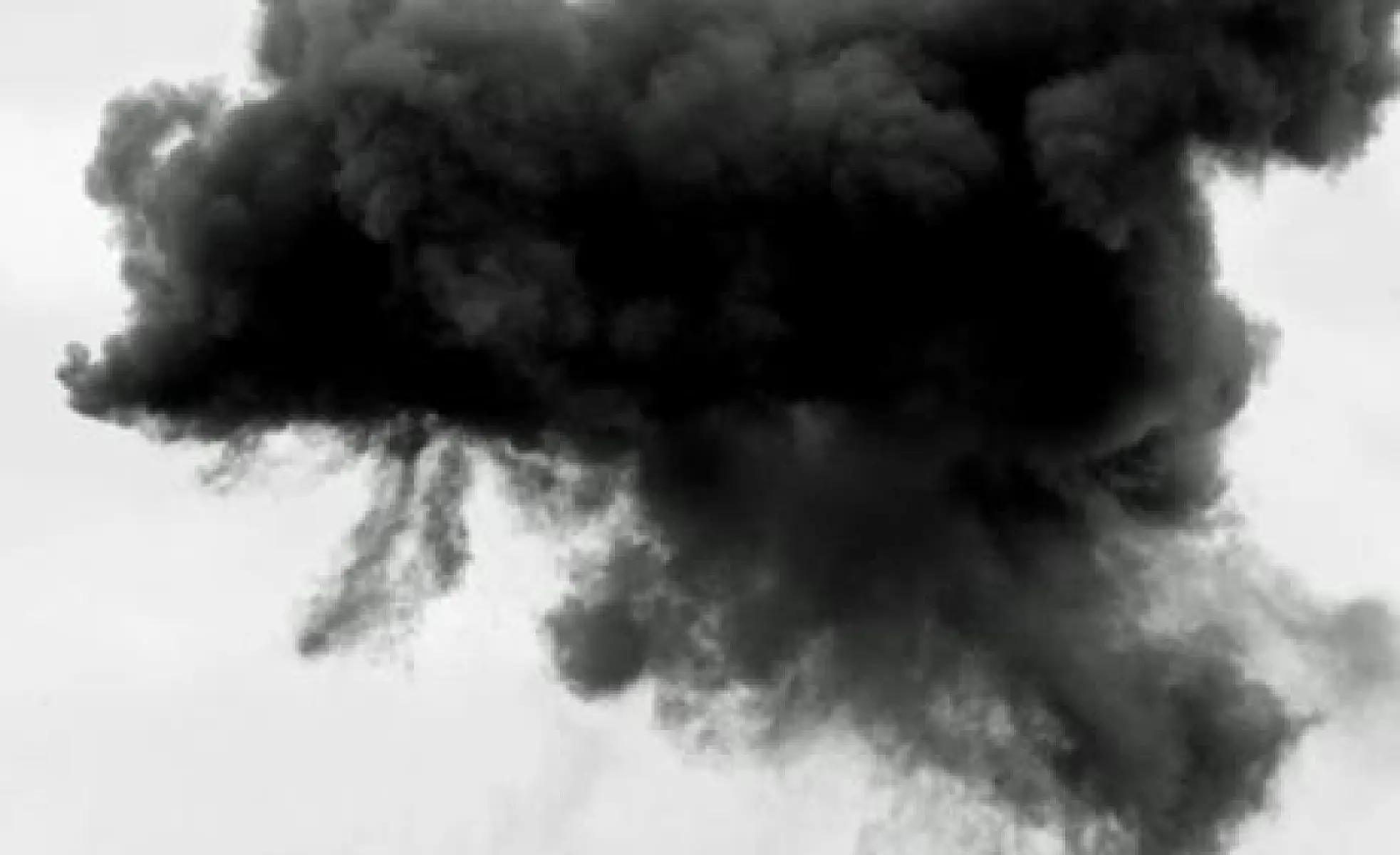 Air Pollution, Forest Fires, and Industrial Toxins: Your Best Detox Strategies