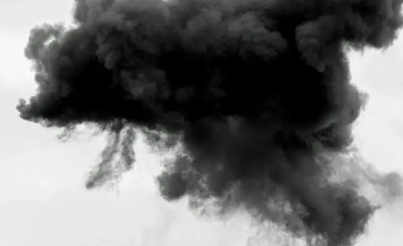 Air Pollution, Forest Fires, and Industrial Toxins: Your Best Detox Strategies