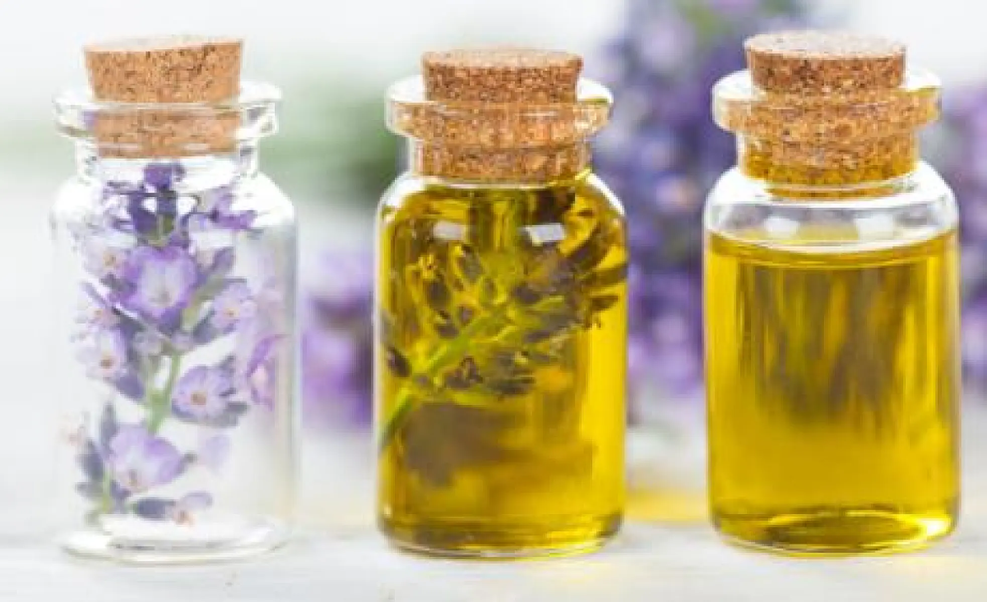 Nature's Alternative To Anxiety and Sleep Drugs Is A Flower
